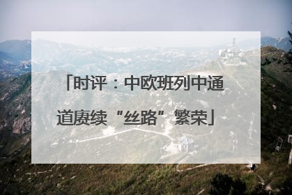 时评：中欧班列中通道赓续“丝路”繁荣