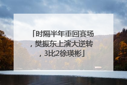 时隔半年重回赛场，樊振东上演大逆转，3比2徐瑛彬