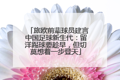 旅欧前辈球员建言中国足球新生代：留洋踢球要趁早，但切莫想着一步登天
