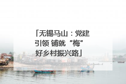 无锡马山：党建引领 铺就“梅”好乡村振兴路