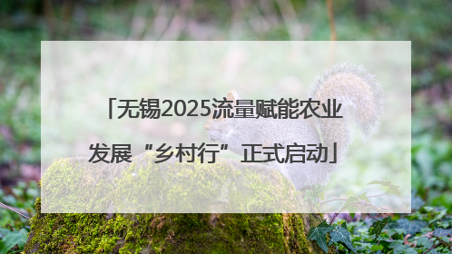 无锡2025流量赋能农业发展“乡村行”正式启动