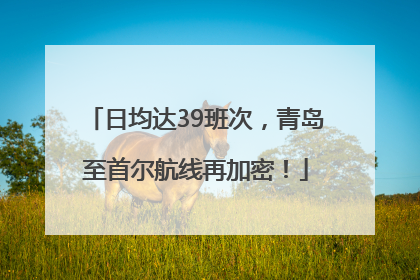 日均达39班次，青岛至首尔航线再加密！