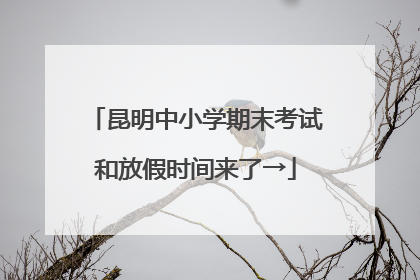 昆明中小学期末考试和放假时间来了→