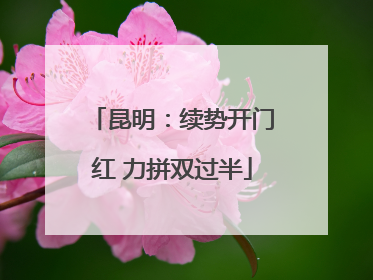 昆明：续势开门红 力拼双过半