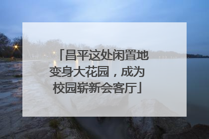 昌平这处闲置地变身大花园，成为校园崭新会客厅