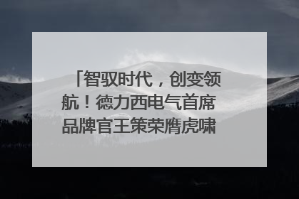 智驭时代，创变领航！德力西电气首席品牌官王策荣膺虎啸奖年度品牌人物