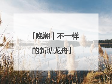 晚潮｜不一样的新塘龙舟