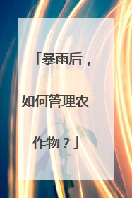暴雨后，如何管理农作物？
