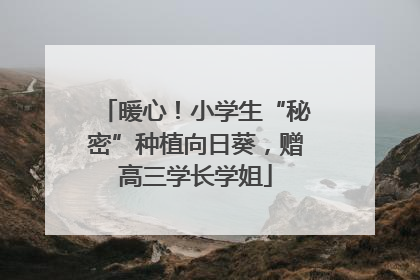 暖心！小学生“秘密”种植向日葵，赠高三学长学姐