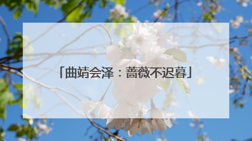 曲靖会泽：蔷薇不迟暮