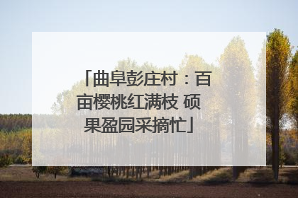 曲阜彭庄村：百亩樱桃红满枝 硕果盈园采摘忙