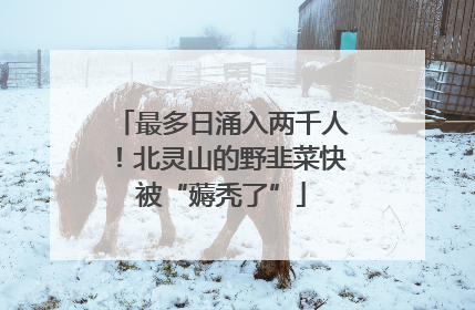 最多日涌入两千人！北灵山的野韭菜快被“薅秃了”