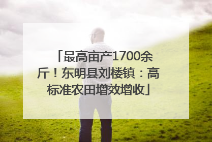 最高亩产1700余斤！东明县刘楼镇：高标准农田增效增收