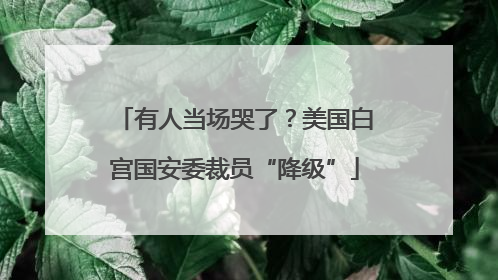 有人当场哭了？美国白宫国安委裁员“降级”