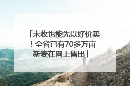 未收也能先以好价卖！全省已有70多万亩新麦在网上售出