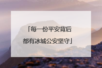 每一份平安背后 都有冰城公安坚守