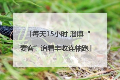 每天15小时 淄博“麦客”追着丰收连轴跑