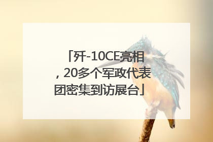 歼-10CE亮相，20多个军政代表团密集到访展台