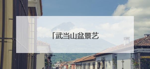 武当山盆景艺术文化展开展