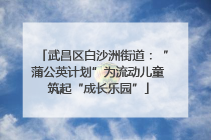 武昌区白沙洲街道：“蒲公英计划”为流动儿童筑起“成长乐园”