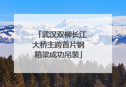 武汉双柳长江大桥主跨首片钢箱梁成功吊装