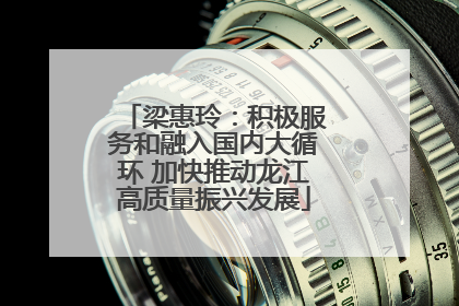 梁惠玲：积极服务和融入国内大循环 加快推动龙江高质量振兴发展