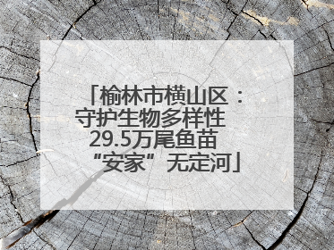榆林市横山区：守护生物多样性 29.5万尾鱼苗“安家”无定河