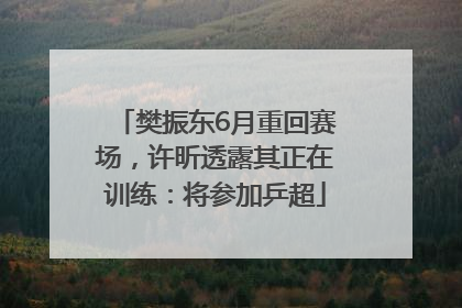 樊振东6月重回赛场，许昕透露其正在训练：将参加乒超