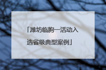 潍坊临朐一活动入选省级典型案例