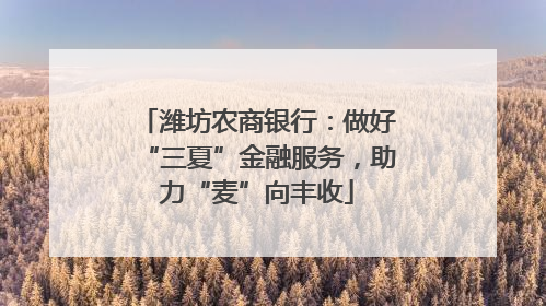 潍坊农商银行：做好“三夏”金融服务，助力“麦”向丰收