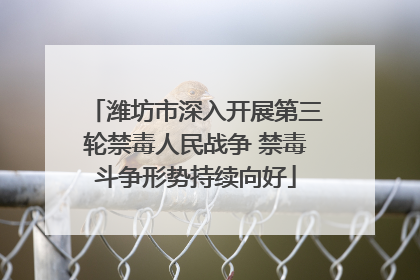 潍坊市深入开展第三轮禁毒人民战争 禁毒斗争形势持续向好