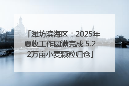 潍坊滨海区：2025年夏收工作圆满完成 5.22万亩小麦颗粒归仓
