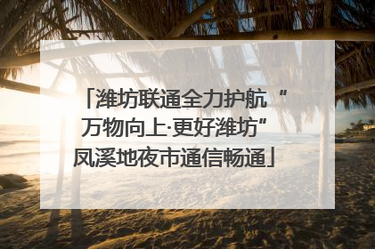 潍坊联通全力护航“万物向上·更好潍坊”凤溪地夜市通信畅通