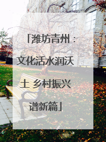 潍坊青州：文化活水润沃土 乡村振兴谱新篇