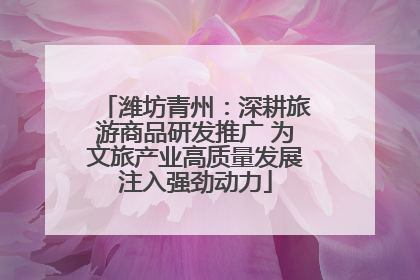 潍坊青州：深耕旅游商品研发推广 为文旅产业高质量发展注入强劲动力