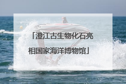 澄江古生物化石亮相国家海洋博物馆