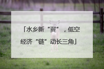 水乡新“翼”，低空经济“链”动长三角