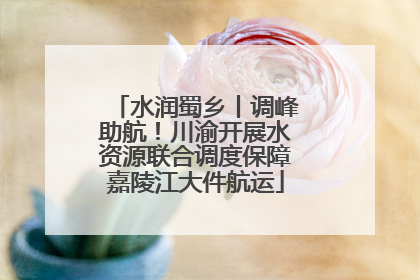 水润蜀乡丨调峰助航！川渝开展水资源联合调度保障嘉陵江大件航运