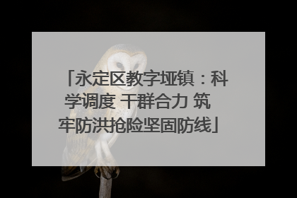 永定区教字垭镇：科学调度 干群合力 筑牢防洪抢险坚固防线