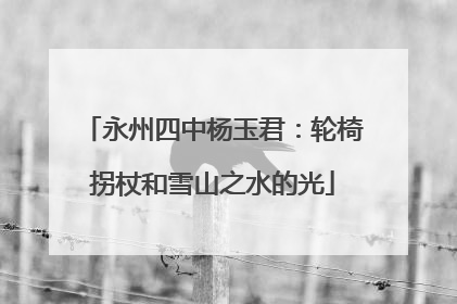 永州四中杨玉君：轮椅拐杖和雪山之水的光