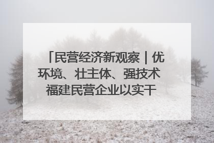 民营经济新观察｜优环境、壮主体、强技术 福建民营企业以实干担当聚势谋进