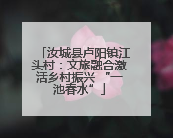 汝城县卢阳镇江头村：文旅融合激活乡村振兴 “一池春水”