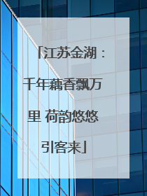 江苏金湖：千年藕香飘万里 荷韵悠悠引客来
