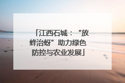 江西石城：“放蜂治蚜”助力绿色防控与农业发展