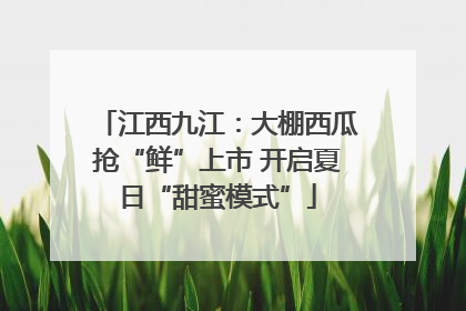 江西九江：大棚西瓜抢“鲜”上市 开启夏日“甜蜜模式”