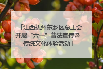 江西抚州东乡区总工会开展“六一”普法宣传暨传统文化体验活动