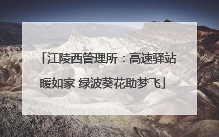 江陵西管理所：高速驿站暖如家 绿波葵花助梦飞
