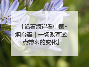 沿着海岸看中国•烟台篇｜一场改革试点带来的变化