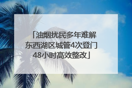油烟扰民多年难解 东西湖区城管4次登门48小时高效整改