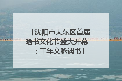 沈阳市大东区首届晒书文化节盛大开幕：千年文脉遇书